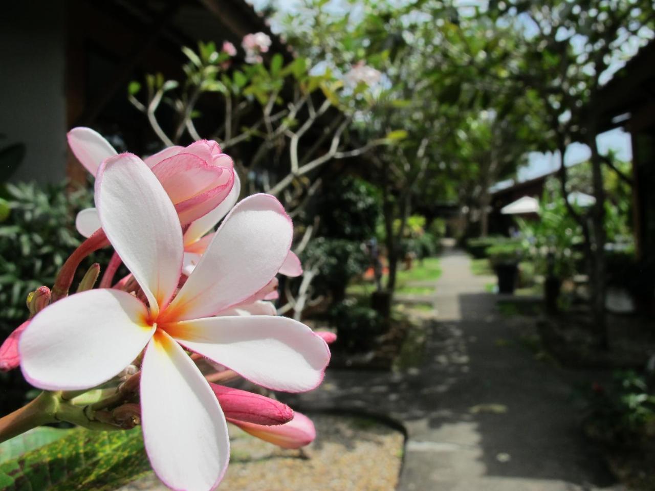 צ'אלונג Phuket Siam Villas - Sha Plus מראה חיצוני תמונה